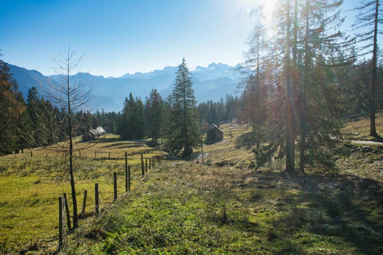 Ferienwohnung Stoablick - Barrierefrei Mit Bergblick Bad Goisern Bagian luar foto